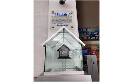 Rinden homenaje a perrito Firulais en Tamaulipas