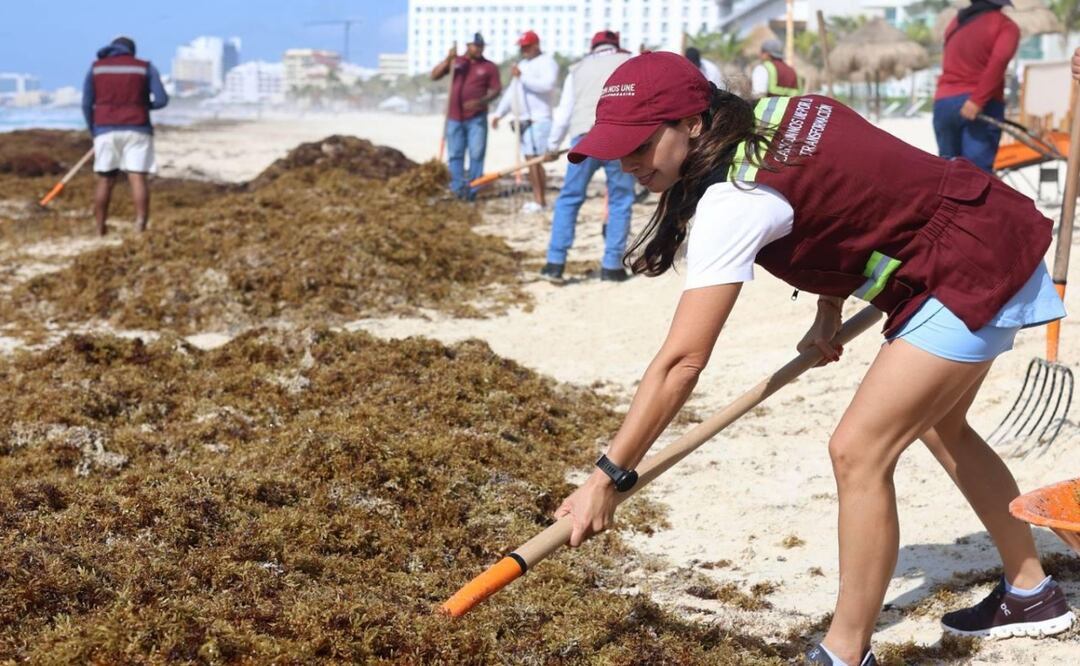 Cancún combate el sargazo con estrategia; destaca frente a otros destinos del Caribe. Foto: Especial