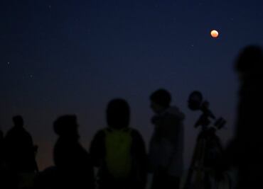 Policía atropella a pareja que observaba acostada el eclipse en Florida