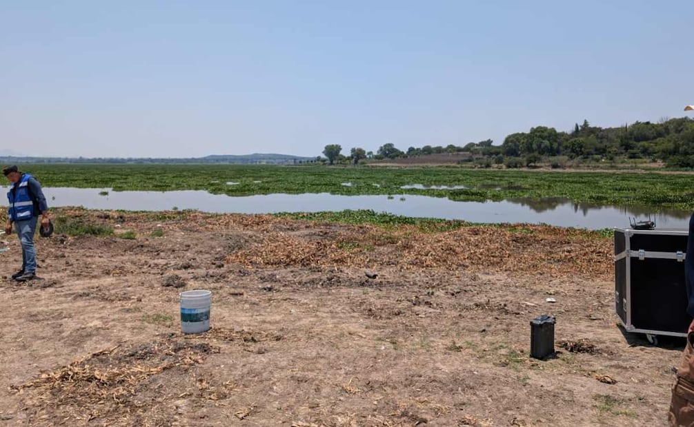 Conagua aplicó 600 kilogramos de agentes biológicos especializados para el control larvario en la Presa Endhó (20/05/2026). Foto: Especial
