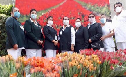 The Netherlands gifts tulips to Mexican healthcare workers fighting COVID-19