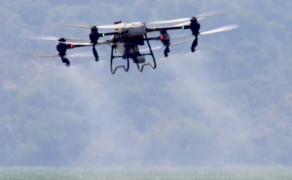 Conagua reduce la presencia del mosquito Culex en la presa Endhó, Hidalgo; mantiene la estrategia de control.
Foto: Especial.