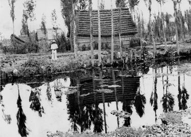 Tláhuac: una isla urbana en el oriente de la capital 