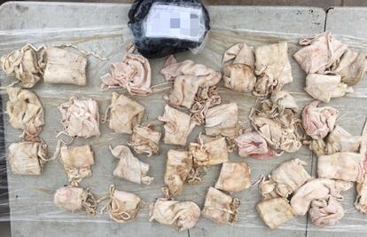 Aseguran 49 buches de totoaba en Baja California