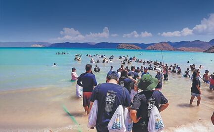 Buscan preservar la Totoaba 