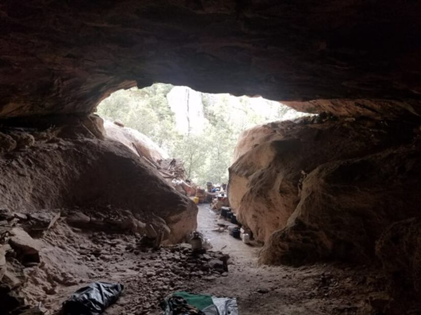 Captan en video rescate de 21 hombres en Chihuahua; eran obligados a sembrar droga