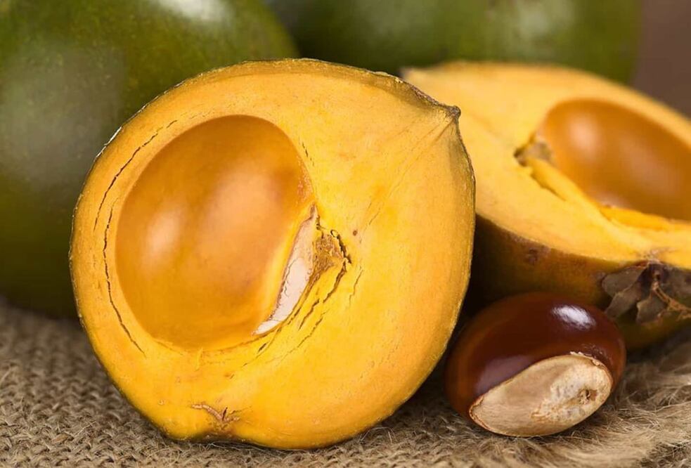 Foto: instagram wholehealth.clinic