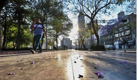 Suspenden Fase 1 de Contingencia Ambiental en el Valle de México; duró poco  más de 4 horas