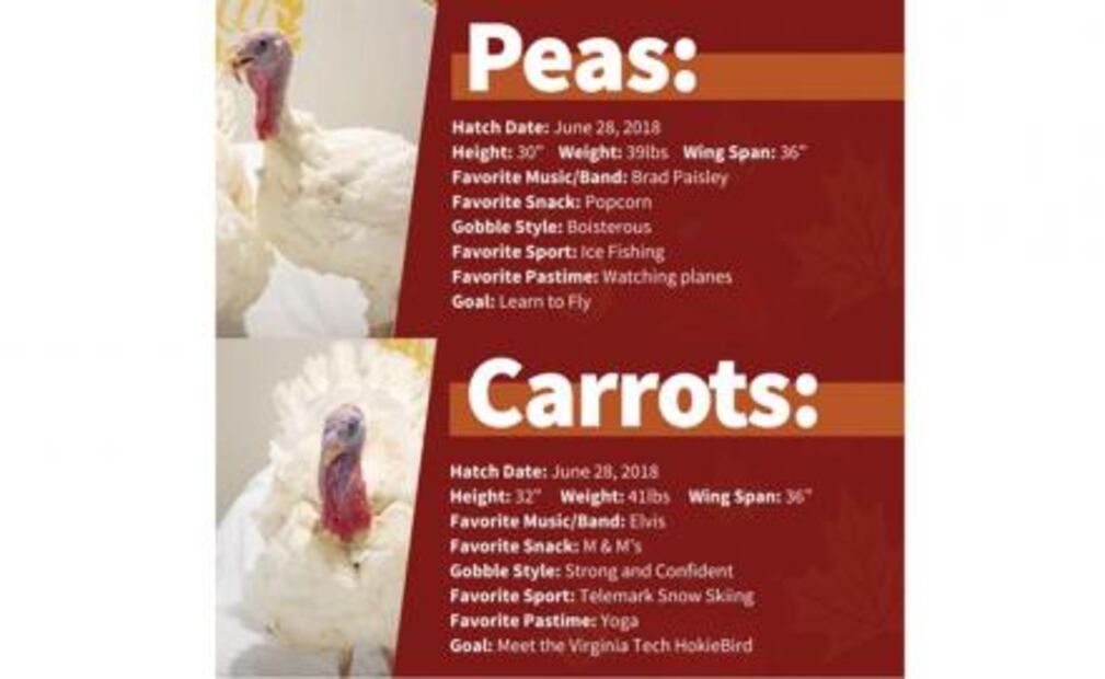 Trump bromea sobre elecciones en Florida durante ceremonia del Perdón del Pavo