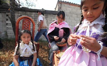 Expertos de ONU expresan temor por recorte a programas de atención a mujeres en México