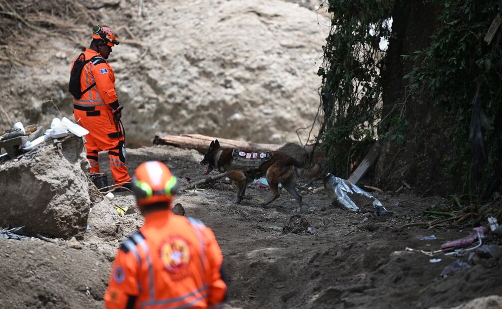 Rescatistas con perros rastreadores trabajan en el lugar donde un río contaminado con aguas residuales crecido por las fuertes lluvias arrasó con viviendas precarias en el barrio de chabolas Dios es Fie. Foto: AFP