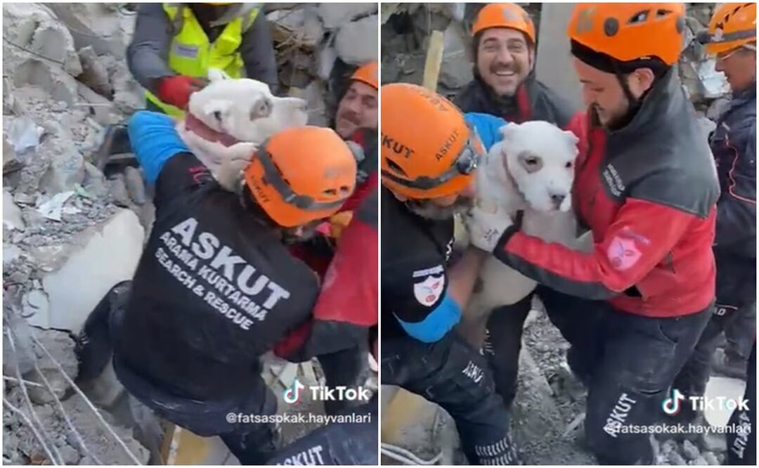 En las imágenes se muestra a seis rescatistas quienes con palas logran salvar al can. Foto: Tomada del video 