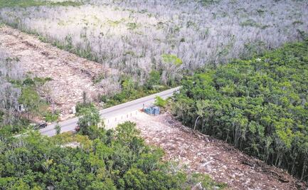 Revocan suspensión definitiva sobre obras de construcción del Tren Maya 