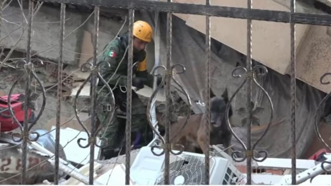 ¿Cuántos rescates ha logrado México en Turquía tras el terremoto?