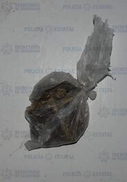 Hallan marihuana durante "Operativo Mochila" en bachillerato de Atizapán