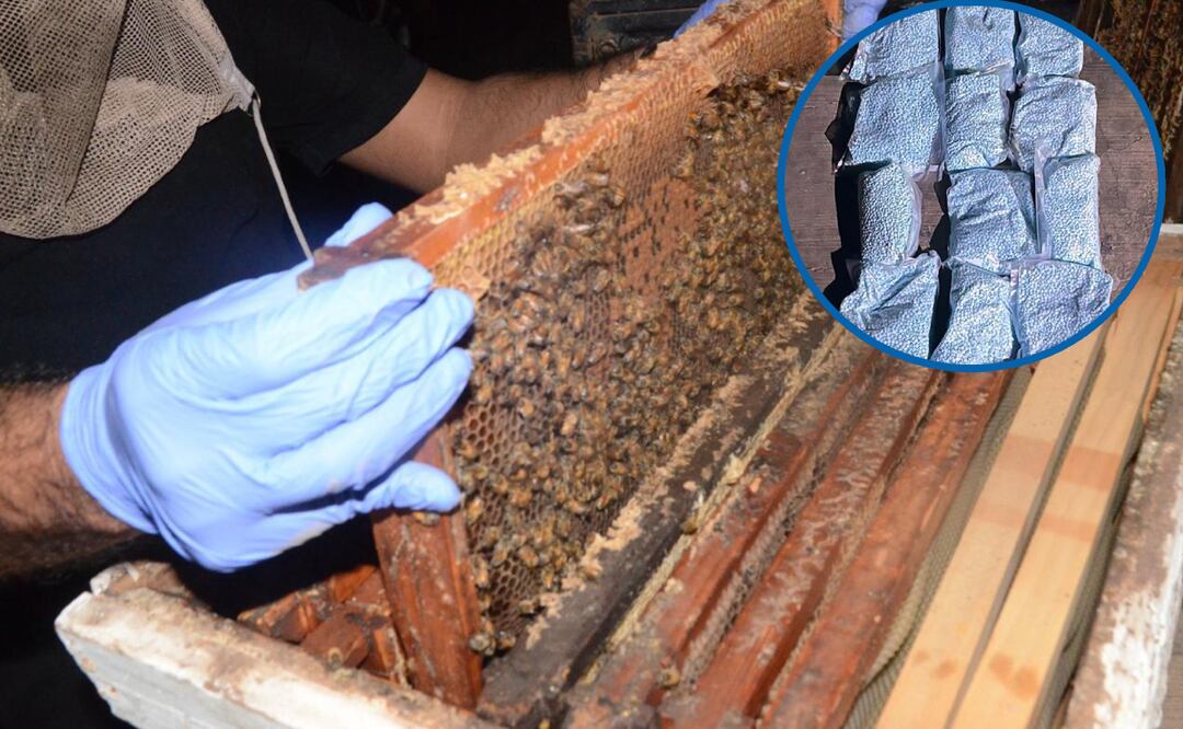 Mediante una denuncia anónima se logró la detención del sujeto que transportaba la droga. Foto: Especial