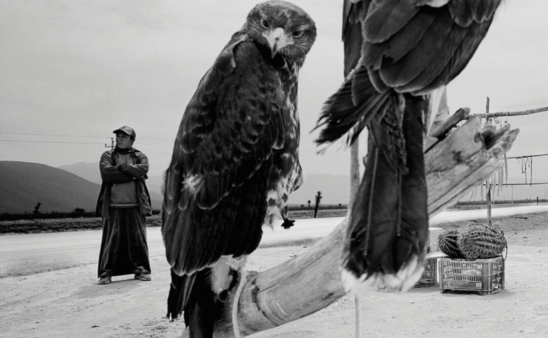 Eniac Martínez inaugurará la exposición fotográfica  "Caminos recorridos: Cuatro proyectos" 