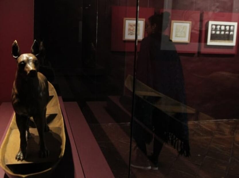 Xoloitzcuintle, de perro perseguido por la Iglesia a ícono de México