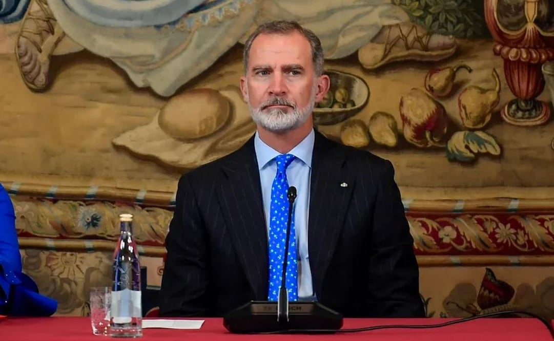 El rey Felipe VI en una imagen de archivo. Foto: EFE