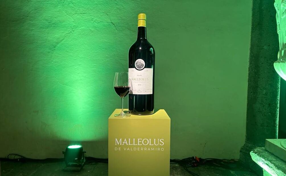 Foto: Alan Nájera / El Universal