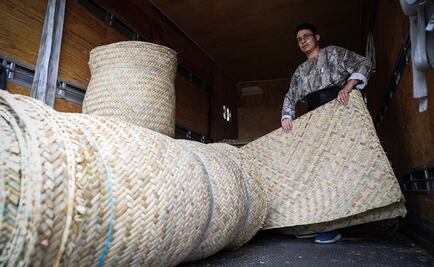 Irregularities found in purchase of 2,000 palm mats for ‘Roma’ screening