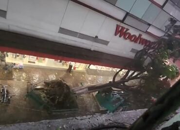 Captan momento en que árbol cae sobre puesto de periódicos en Puebla; niño falleció en el lugar