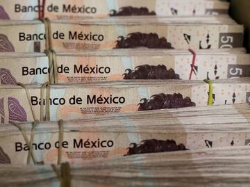 Private insurance elimination: MXN$5 billion in savings