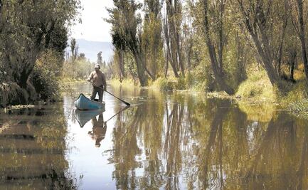 Sumarán nueva coordinación territorial en Xochimilco