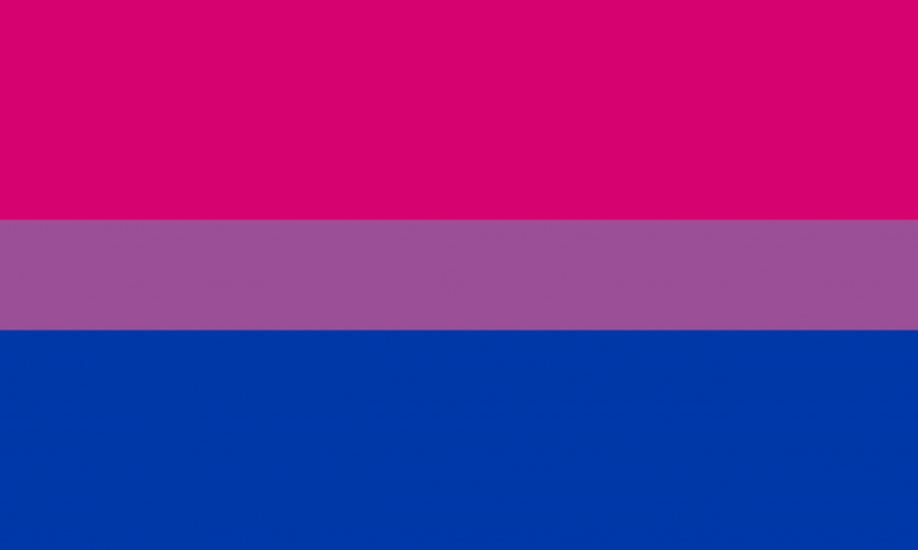 No sólo es la del arcoíris: conoce otras de las banderas de la comunidad LGBTI