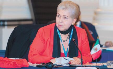 ¿Quién es Luz Elena Baños, embajadora de México en la OEA que protagonizó bochornoso momento en sesión?