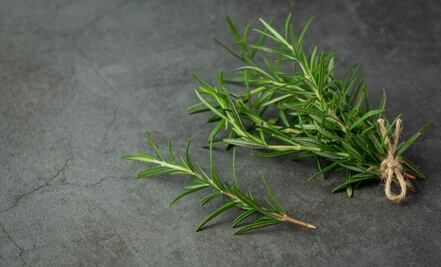 Cómo conservar el romero por más tiempo y de forma simple