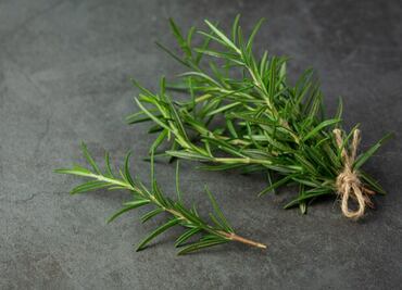 ¿Cuáles son los beneficios de hervir romero en casa?