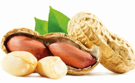 Mexican company Galdisa opens new plant in Texas