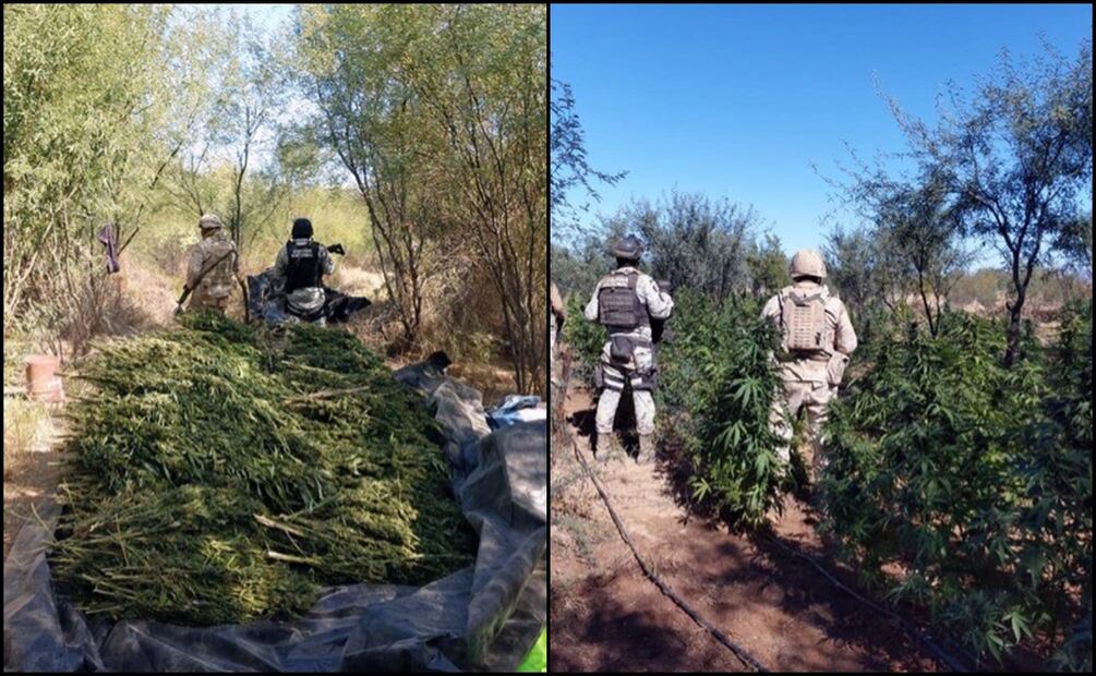 Foto: Guardia Nacional