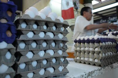 Verificaciones de la Cofece bajan 20% precio del huevo