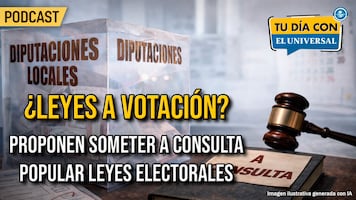 ¿Leyes a votación? Proponen someter a consulta popular leyes electorales