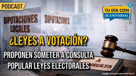 ¿Leyes a votación? Proponen someter a consulta popular leyes electorales