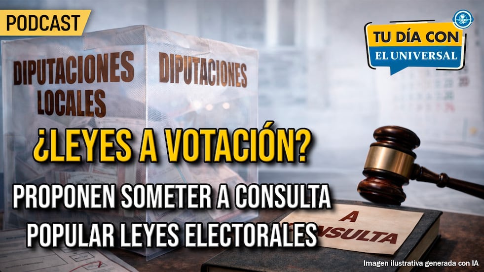 ¿Leyes a votación? Proponen someter a consulta popular leyes electorales