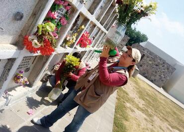 Vacuna contra zika, en al menos 3 años: Ssa