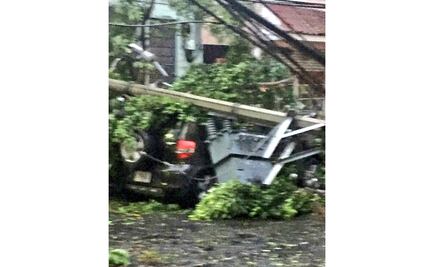 Árbol y poste caen sobre camioneta en San Miguel Chapultepec 