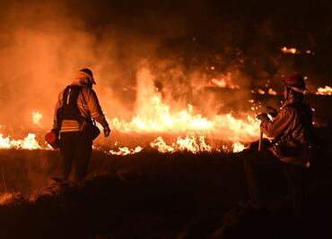 Registran más de 81 mil hectáreas afectadas por incendios en California