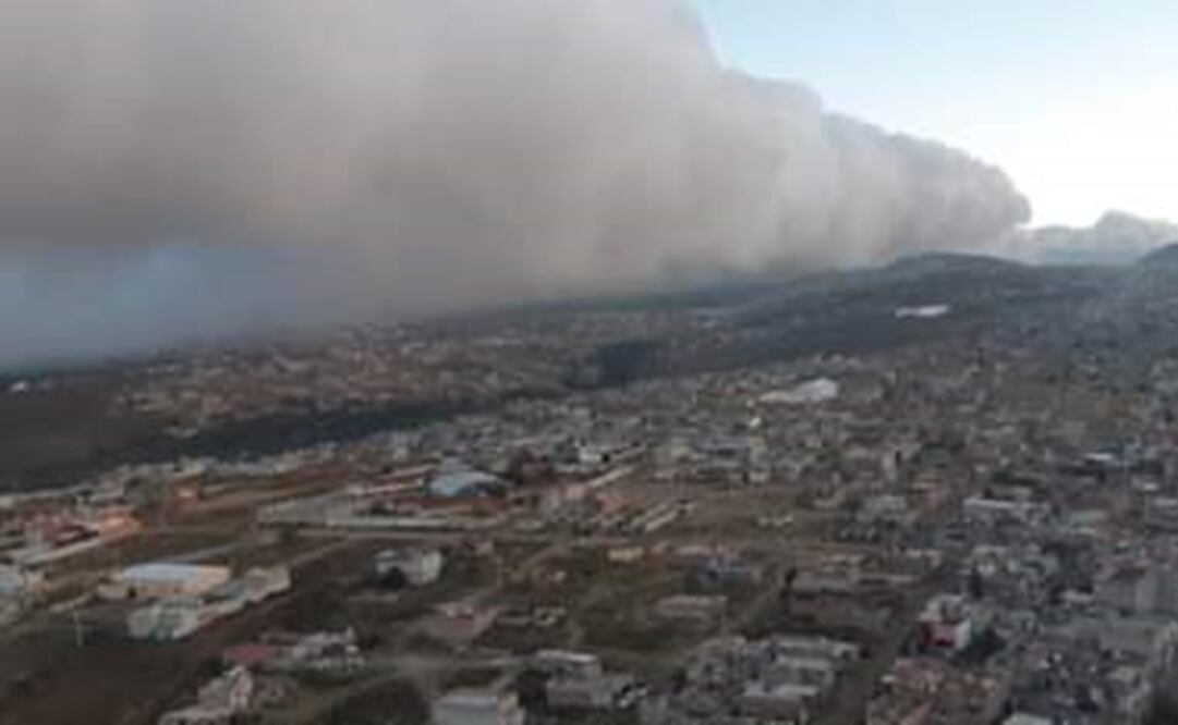 Foto: Cortesía Francisco Elizondo