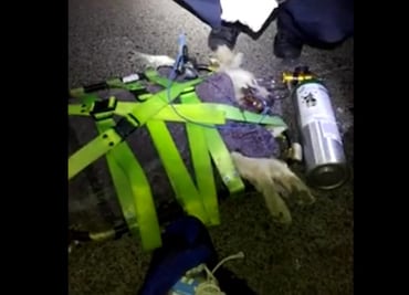 Historia. Los rescatistas que ayudan a los animales en Tultepec