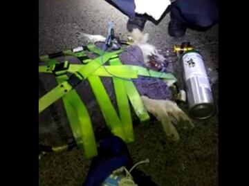 Historia. Los rescatistas que ayudan a los animales en Tultepec