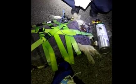 Historia. Los rescatistas que ayudan a los animales en Tultepec