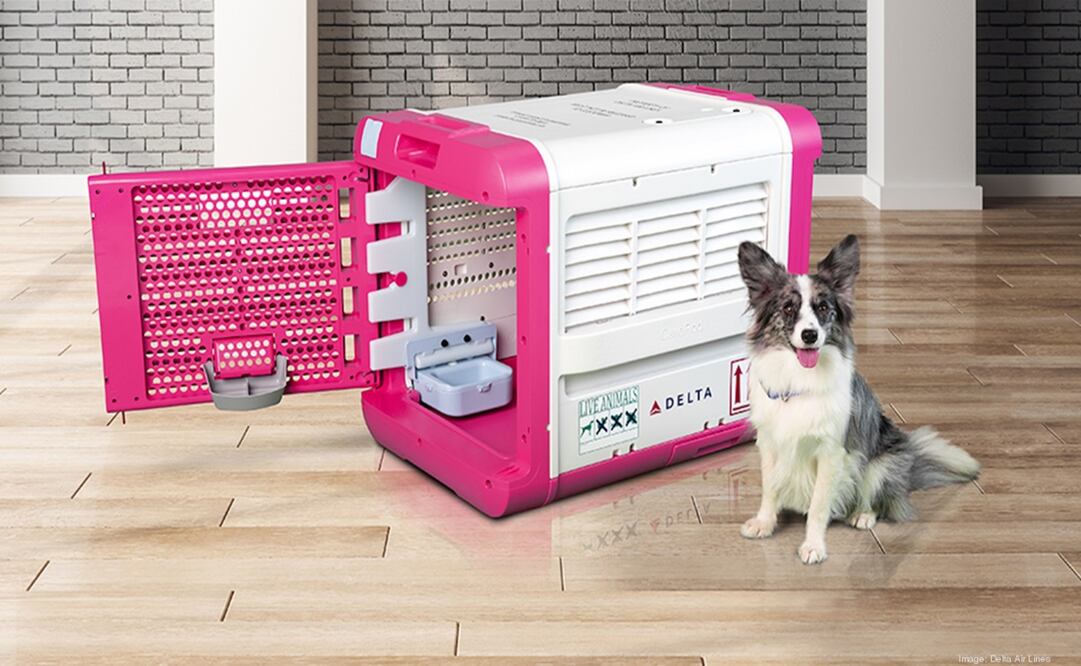 La edad mínima de tu mascota para viajar es de más de 8 semanas. Foto: Cortesía Delta