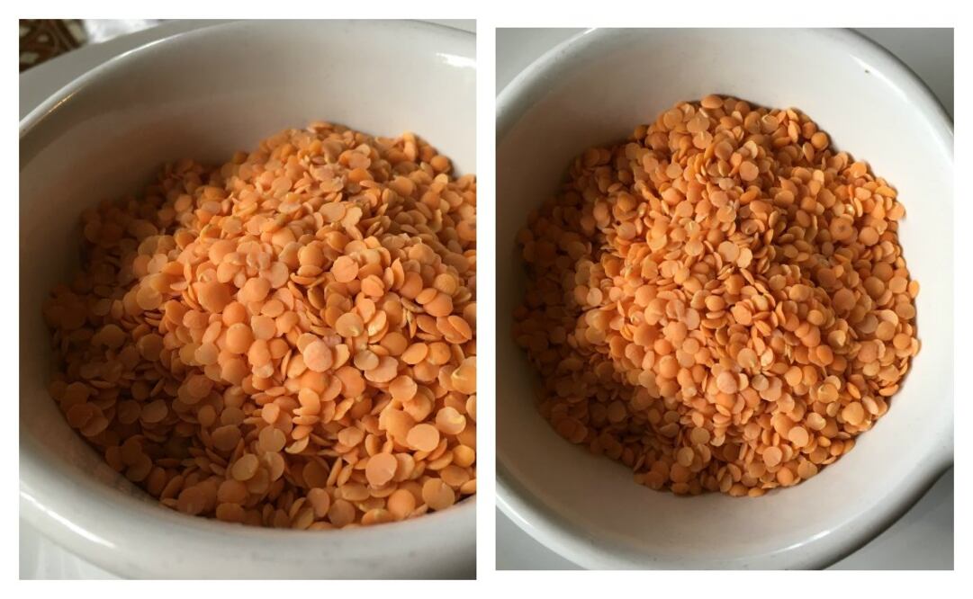 Fotos: Maria Hernández