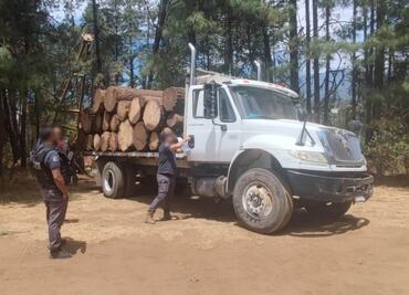 Caen 4 por tala ilegal de árboles en Coatepec Harinas