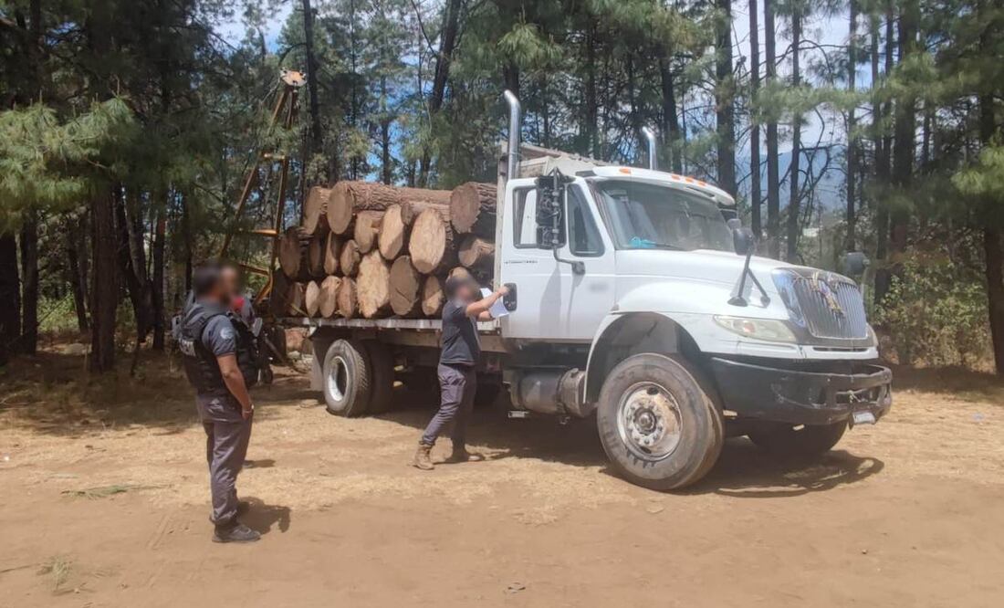 Los hombres no pudieron acreditar la legalidad de la actividad, así como la procedencia de troncos. Foto: Especial
