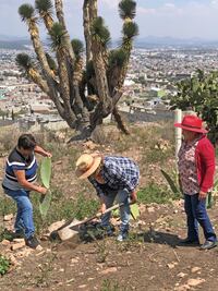 Mujeres del campo contra el machismo